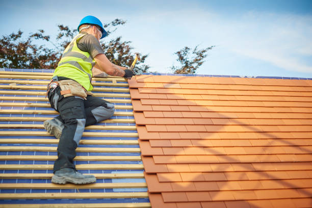  Elko New Market, MN Roofing services Pros
